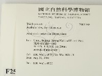 毛木耳藏品圖，第2張