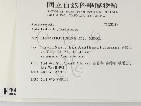 登錄號:F0025384藏品圖，第2張