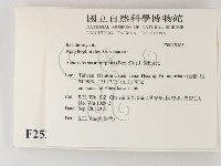 登錄號:F0025385藏品圖，第2張