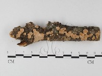 登錄號:F0025385藏品圖，第1張