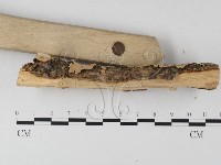 登錄號:F0025385藏品圖，第3張