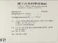 登錄號:F0025386藏品圖，第2張