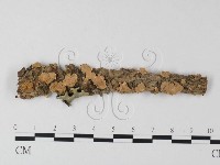 登錄號:F0025386藏品圖，第1張