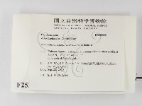 登錄號:F0025388藏品圖，第2張