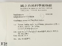 登錄號:F0025389藏品圖，第2張