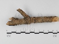 登錄號:F0025389藏品圖，第1張