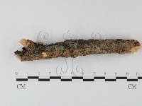 登錄號:F0025389藏品圖，第3張