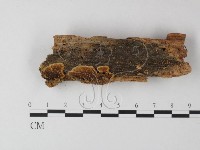 登錄號:F0025390藏品圖，第1張