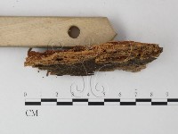 登錄號:F0025390藏品圖，第3張