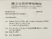 絲皮菌屬藏品圖，第2張