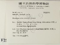登錄號:F0025393藏品圖，第2張