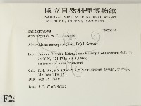 登錄號:F0025394藏品圖，第2張