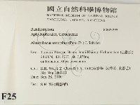 登錄號:F0025395藏品圖，第2張