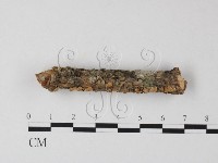 登錄號:F0025395藏品圖，第1張