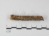 登錄號:F0025395藏品圖，第3張