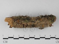 登錄號:F0025397藏品圖，第1張