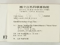 登錄號:F0025399藏品圖，第2張