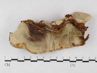 登錄號:F0025399藏品圖，第3張