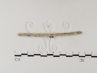 登錄號:F0025401藏品圖，第3張