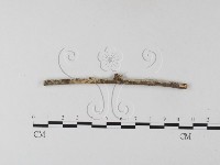 登錄號:F0025401藏品圖，第4張