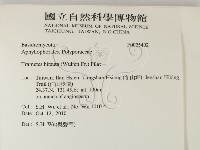 登錄號:F0025402藏品圖，第2張