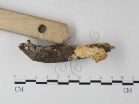 登錄號:F0025402藏品圖，第3張