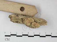 登錄號:F0025403藏品圖，第3張