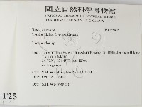 登錄號:F0025405藏品圖，第2張
