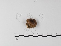 登錄號:F0025405藏品圖，第3張