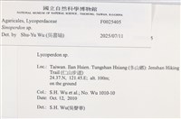 登錄號:F0025405藏品圖，第4張