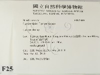 登錄號:F0025406藏品圖，第2張