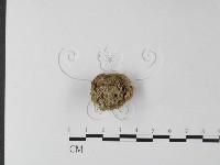 登錄號:F0025406藏品圖，第3張