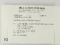 登錄號:F0025407藏品圖，第2張