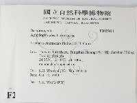 登錄號:F0025411藏品圖，第2張