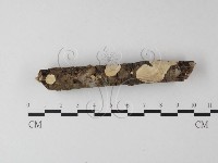 登錄號:F0025411藏品圖，第3張