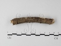 登錄號:F0025411藏品圖，第4張