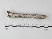 登錄號:F0025412藏品圖，第1張