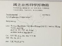 多孔菌屬藏品圖，第2張