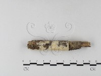 登錄號:F0025416藏品圖，第3張