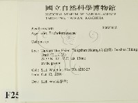 登錄號:F0025418藏品圖，第2張