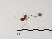 登錄號:F0025418藏品圖，第1張