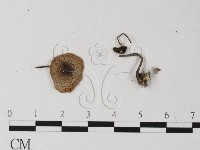 登錄號:F0025420藏品圖，第1張