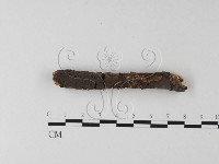 登錄號:F0025421藏品圖，第1張