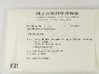 登錄號:F0025423藏品圖，第2張