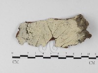 登錄號:F0025423藏品圖，第1張