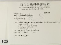 登錄號:F0025425藏品圖，第2張