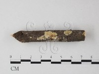 登錄號:F0025425藏品圖，第1張