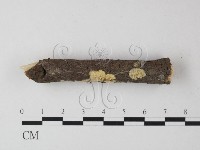 登錄號:F0025425藏品圖，第3張