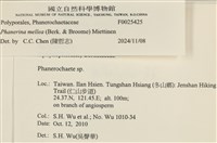 登錄號:F0025425藏品圖，第4張