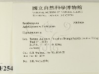 登錄號:F0025426藏品圖，第2張